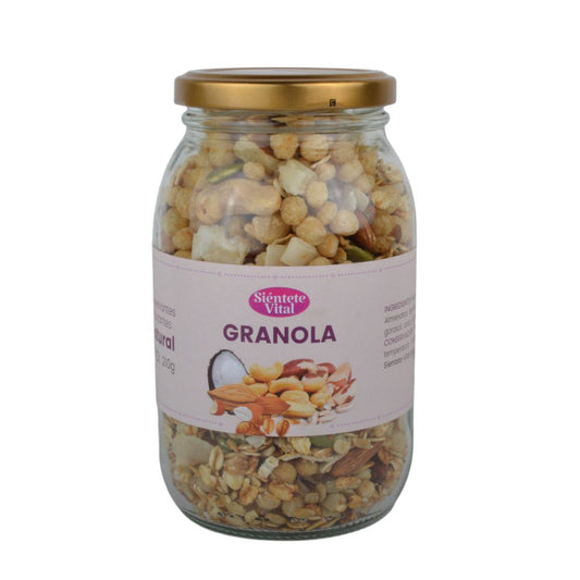 Granola 210g